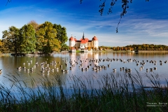 Moritzburg